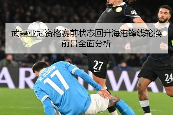 武磊亚冠资格赛前状态回升海港锋线轮换前景全面分析
